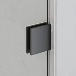 shower door